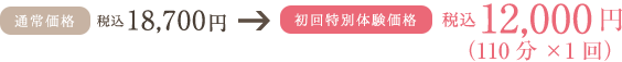 初回料金